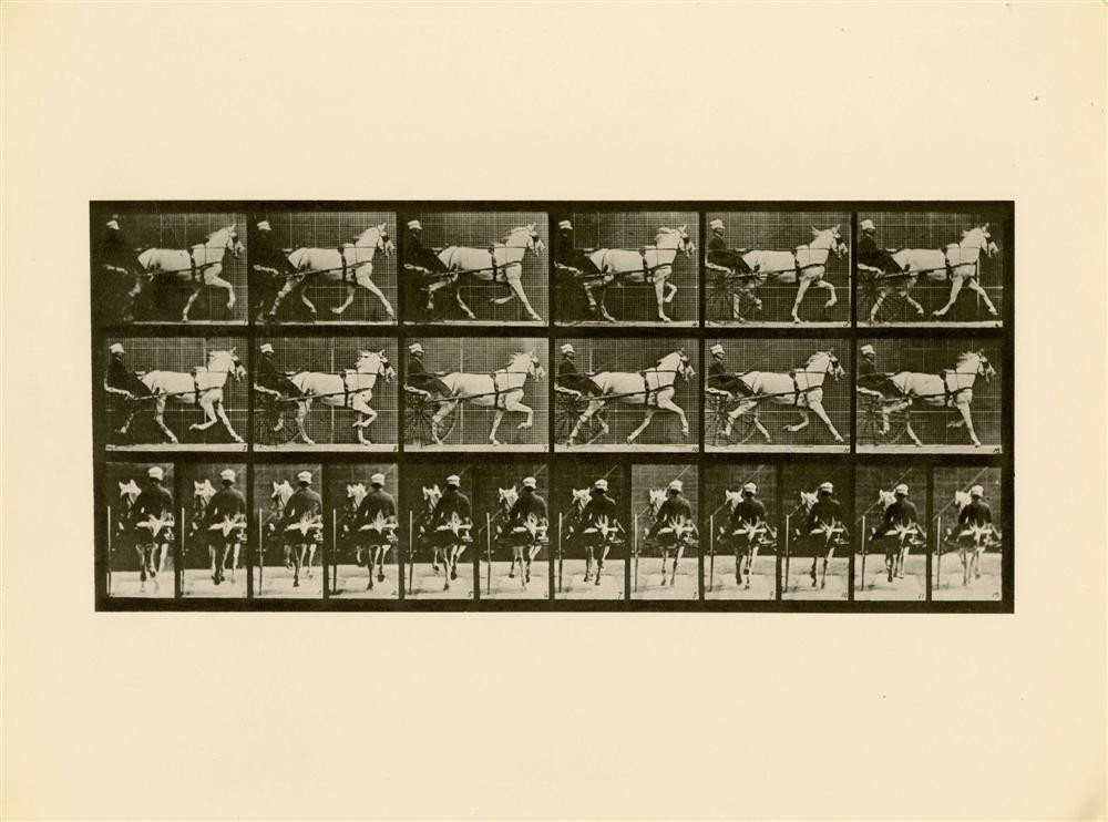 EADWEARD J. MUYBRIDGE [AFTER] - Original photogra: Eadweard J. Muybridge [after] (English/American, 1830-1904). "Animal Locomotion: Plate 671". Original photogravure. 1872-1885. Printed later. Fine condition. Image size: 5 13/16 x 13 in. (148 x 330 mm