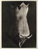 209: KARL BLOSSFELDT - Original vintage photogravure