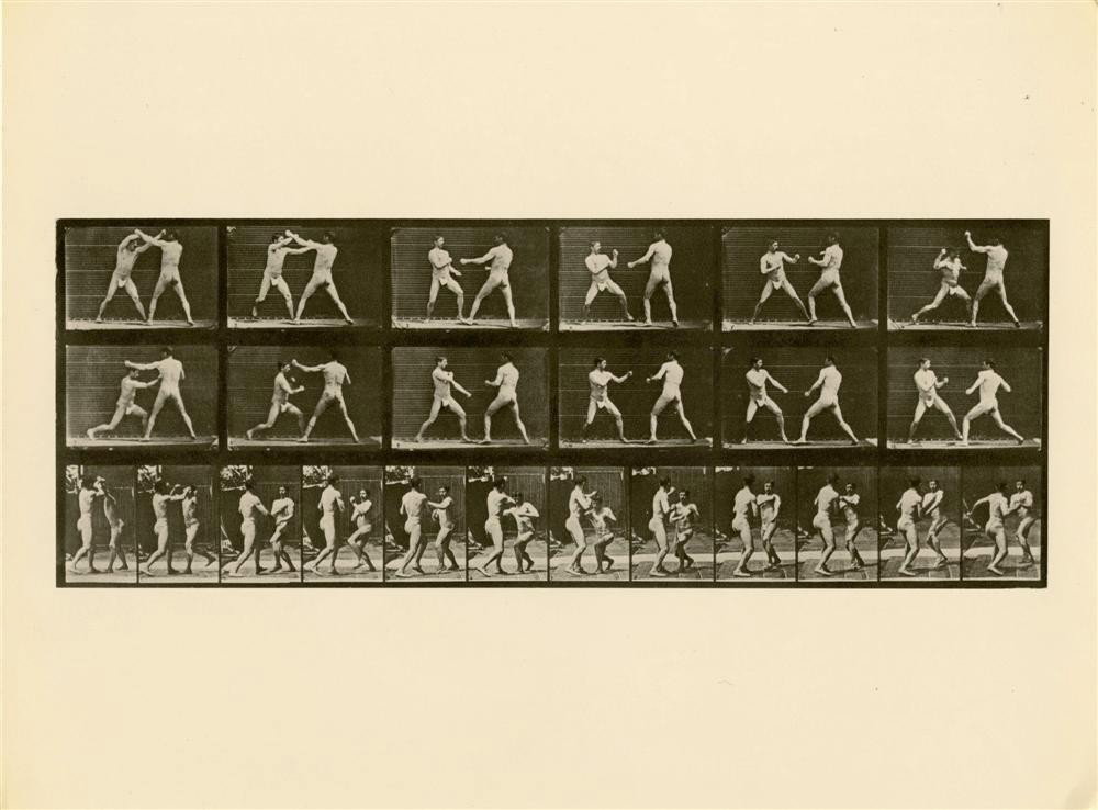 EADWEARD J. MUYBRIDGE [AFTER] - Original photogra: Eadweard J. Muybridge [after] (English/American, 1830-1904). "Animal Locomotion: Plate 329". Original photogravure. 1872-1885. Printed later. Fine condition. Image size: 5 5/16 x 14 1/4 in. (135 x 362