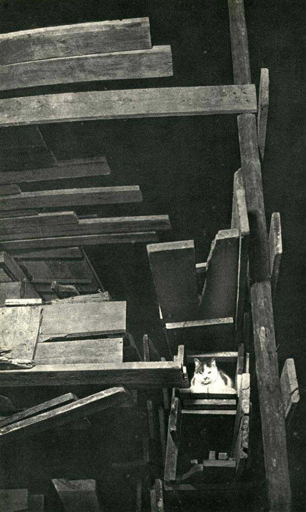 BRASSAI [GYULA HALASZ] - Original vintage photogra: Brassai [Gyula Halasz] (Hungarian/French, 1899-1984). "Chat". Original vintage photogravure. c1947. Printed 1947. Image size: 11 3/8 x 7 in. (289 x 178 mm). [23849] {R100}