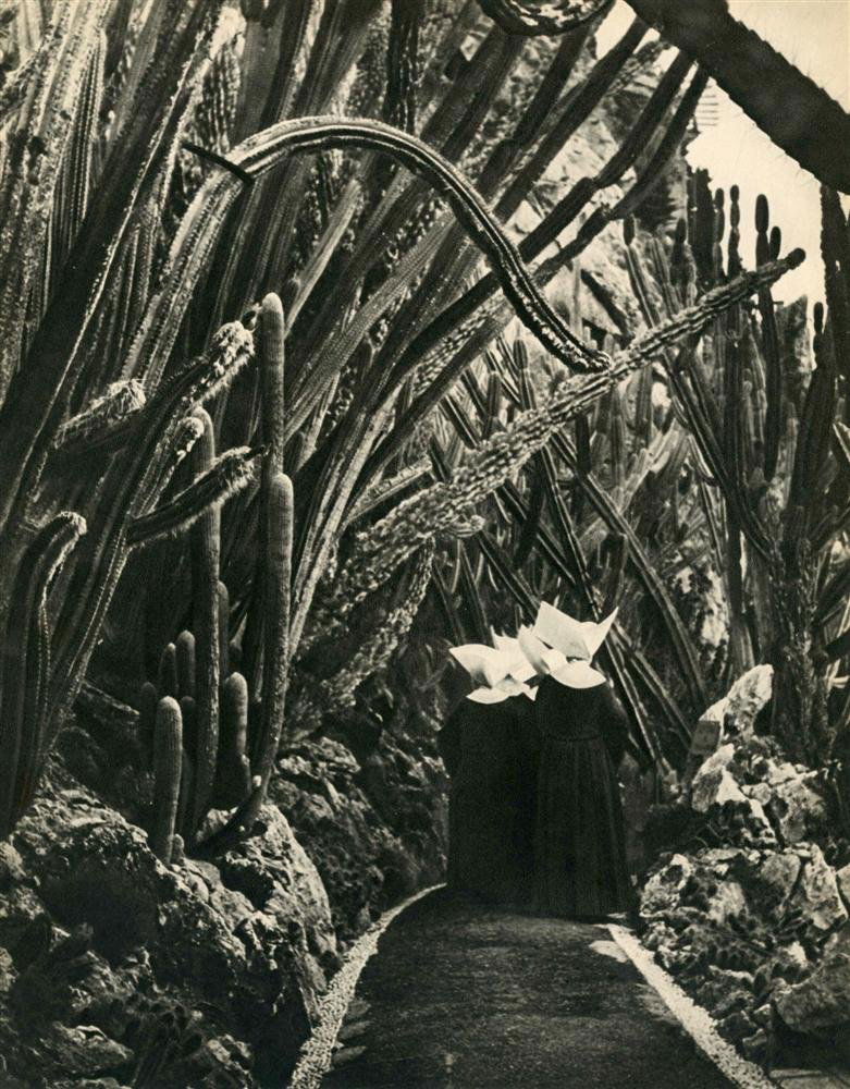 BRASSAI [GYULA HALASZ] - Original vintage photogra: Brassai [Gyula Halasz] (Hungarian/French, 1899-1984). "Etude #016". Original vintage photogravure. c1947. Printed 1947. Image size: 11 1/2 x 9 1/8 in. (292 x 232 mm). [24230] {R100}