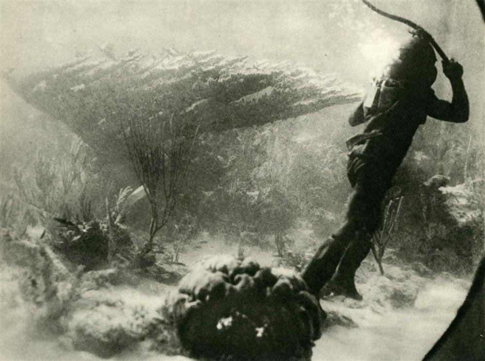 JOHN ERNEST WILLIAMSON - Original vintage photogr: John Ernest Williamson (American, 1881-1966). "Life under the Sea". Original vintage photogravure. c1930. Printed 1930. Image size: 5 7/8 x 7 7/8 in. (149 x 200 mm). [24198] {R100}