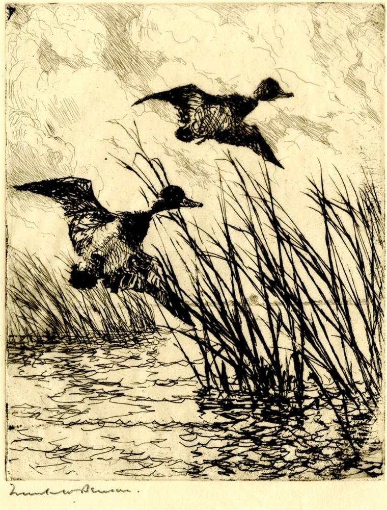 FRANK W. BENSON - Etching: Frank W. Benson (American, 1862 - 1951). "Pair of Ducks". Etching. 1916. Signed in pencil, lower left. Edition of 275. Cream wove watermarked Shogun paper. Full margins, deckle edge bottom. Fine impre