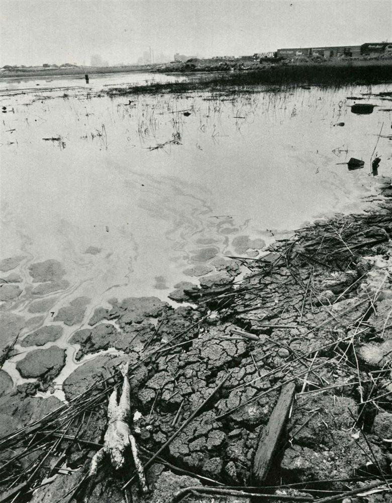 BRUCE DAVIDSON - Original vintage photogravure: Bruce Davidson (American, b.1933). "Study". Original vintage photogravure. c1968. Printed 1969. Image size: 7 1/4 x 5 3/4 in. (184 x 146 mm). [25431] {R100}