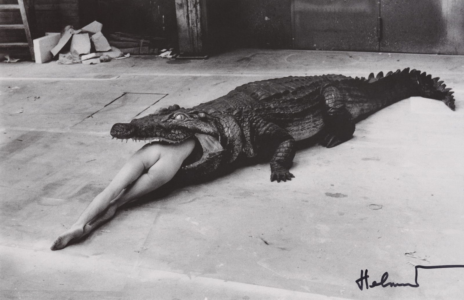 HELMUT NEWTON - Crocodile Devouring Ballerina (Scene from Pina Bausch's Ballet "Die (1 of 1)