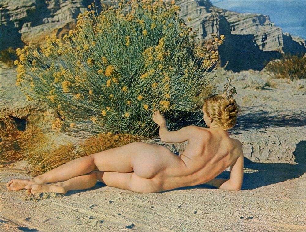 ANDRE DE DIENES - Original vintage color photograv: Andre de Dienes (Romanian/American, 1913 - 1985). "Desert Bush". Original vintage color photogravure. c1950. Printed c1950. Image size: 8 3/4 x 11 1/2 in. (222 x 292 mm). [24836] {R100}