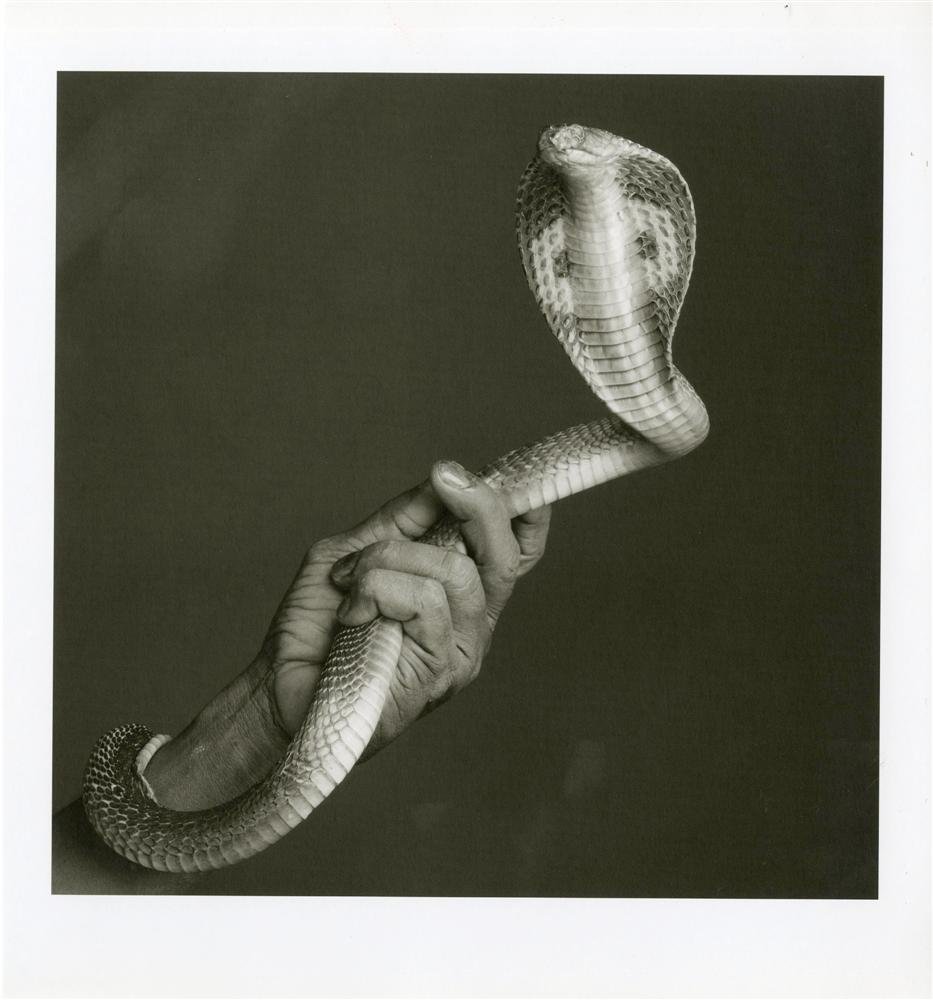 JEAN-BAPTISTE HUYNH - Vintage photogravure: Jean-Baptiste Huynh (French, b.1966). "Cobra, Inde". Vintage photogravure. 2004. Printed 2004. Fine condition. Huynh was born in France to a French mother and a Vietnamese father. Image size: 7 7/8 x 