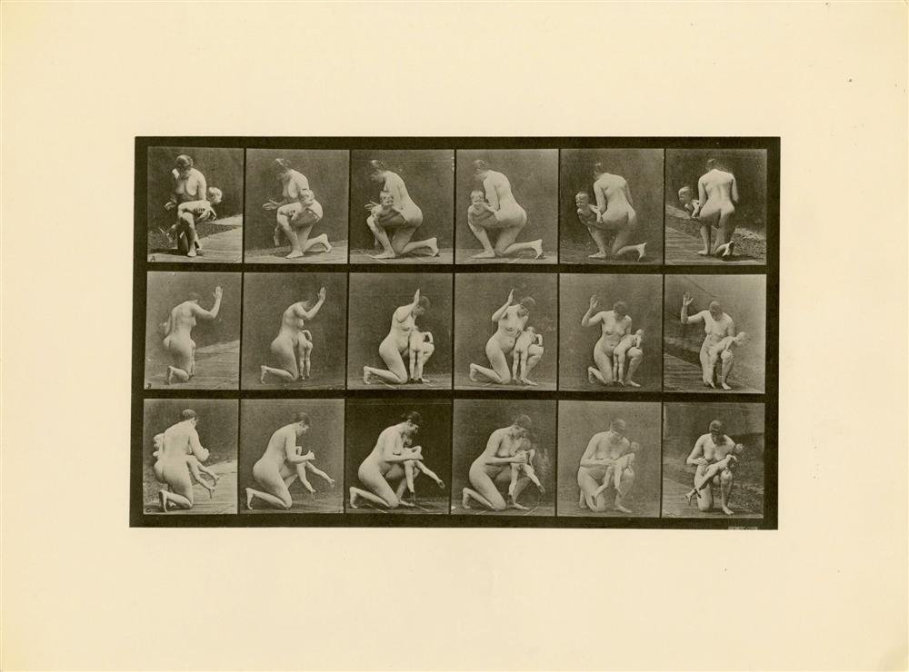 EADWEARD J. MUYBRIDGE [AFTER] - Original photogra: Eadweard J. Muybridge [after] (English/American, 1830-1904). "Animal Locomotion: Plate 527". Original photogravure. 1872-1885. Printed later. Fine condition. Overall size: 11 11/16 x 15 3/4 in. (297 x