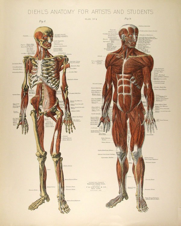 CONRAD DIEHL - Chromolithograph