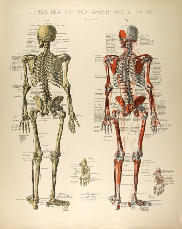 CONRAD DIEHL - Chromolithograph
