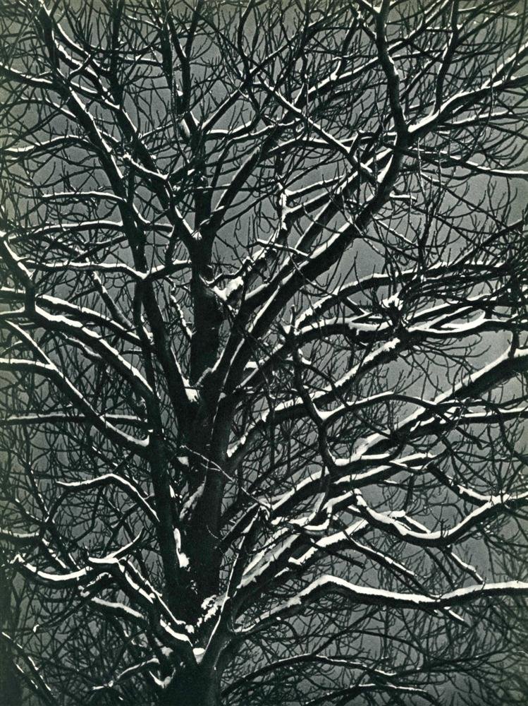 BRASSAI [GYULA HALASZ] - Original vintage: Brassai [Gyula Halasz] (Hungarian/French, 1899-1984). "Premiere Niege". Original vintage photogravure. c1939. Printed 1939. Image size: 11 9/16 x 8 3/4 in. (294 x 222 mm). [23872] |200| {R100}