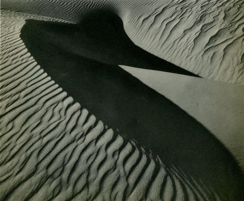 BRETT WESTON - Original vintage photogravure (1 of 1)