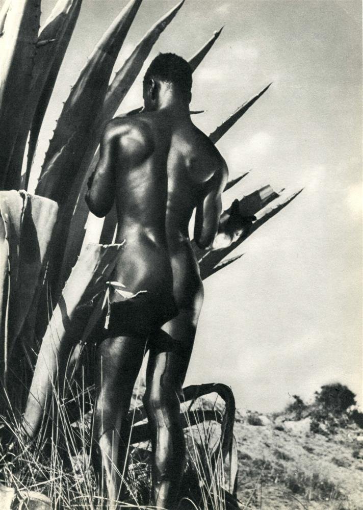 HERBERT LIST - Original vintage photogravure: Herbert List (German, 1903-1974). "Mnnliches Schwarzes Akt II". Original vintage photogravure. c1935. Printed 1935. Very good condition. Image size: 12 5/16 x 8 7/8 in. (313 x 225 mm). [22645] |300| {