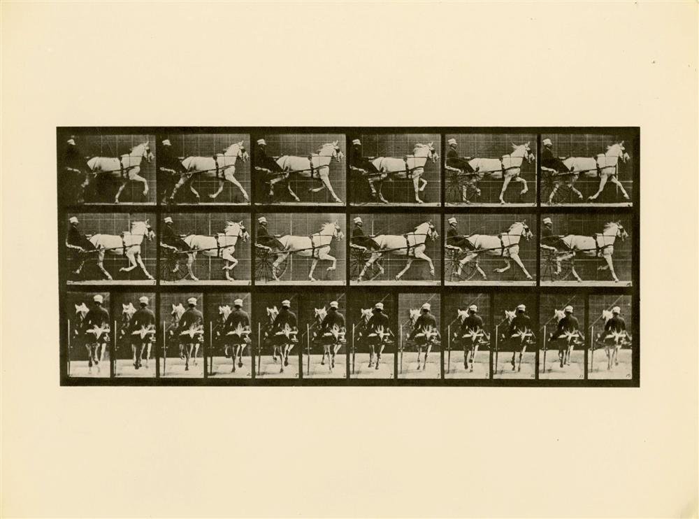 EADWEARD J. MUYBRIDGE [after] - Original: Eadweard J. Muybridge [after] (English/American, 1830-1904). "Animal Locomotion: Plate 671". Original photogravure. 1872-1885. Printed later. Fine condition. Overall size: 11 11/16 x 15 3/4 in. (297 x