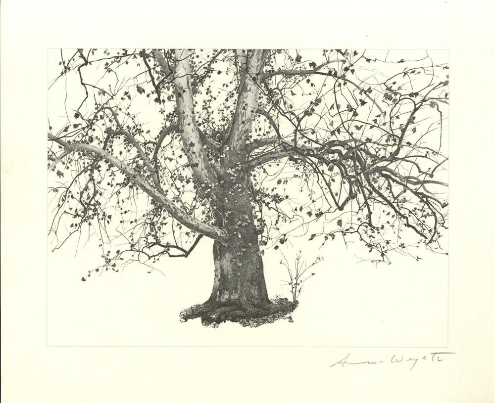 ANDREW WYETH [d'apres] - Offset lithograph (1 of 1)