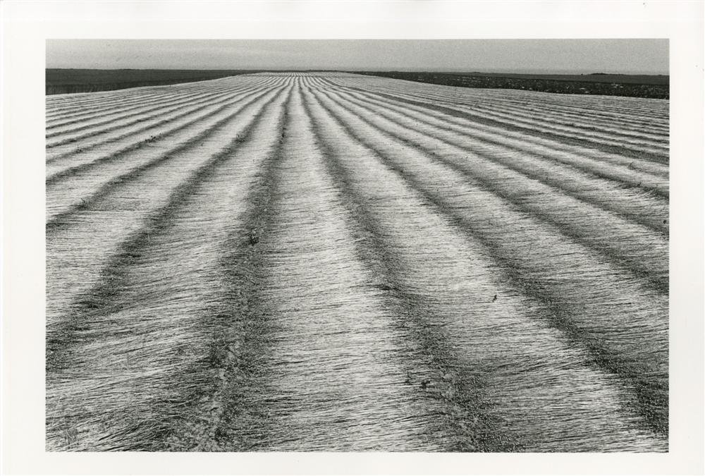 EDOUARD BOUBAT - Silver gelatin print (1 of 2)