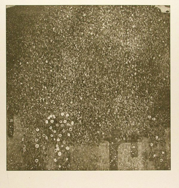 GUSTAV KLIMT - Rosen Unter Bäumen [Roses among (1 of 6)