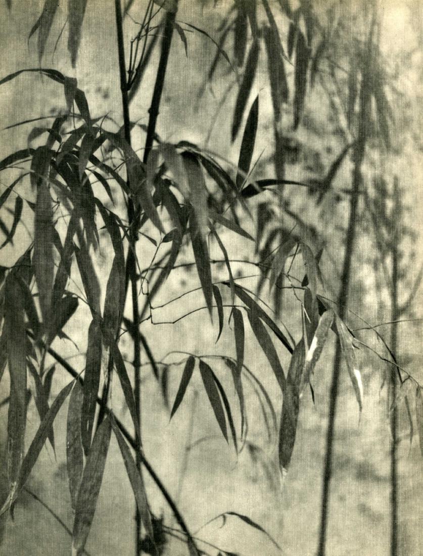 CHIN-SAN LONG [lang jingshan/lang chin (1 of 1)