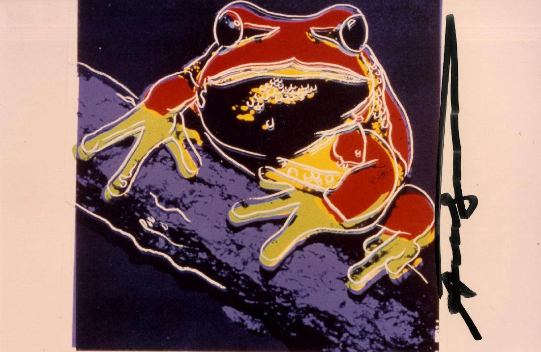 ANDY WARHOL - Pine Barrens Tree Frog (1 of 1)