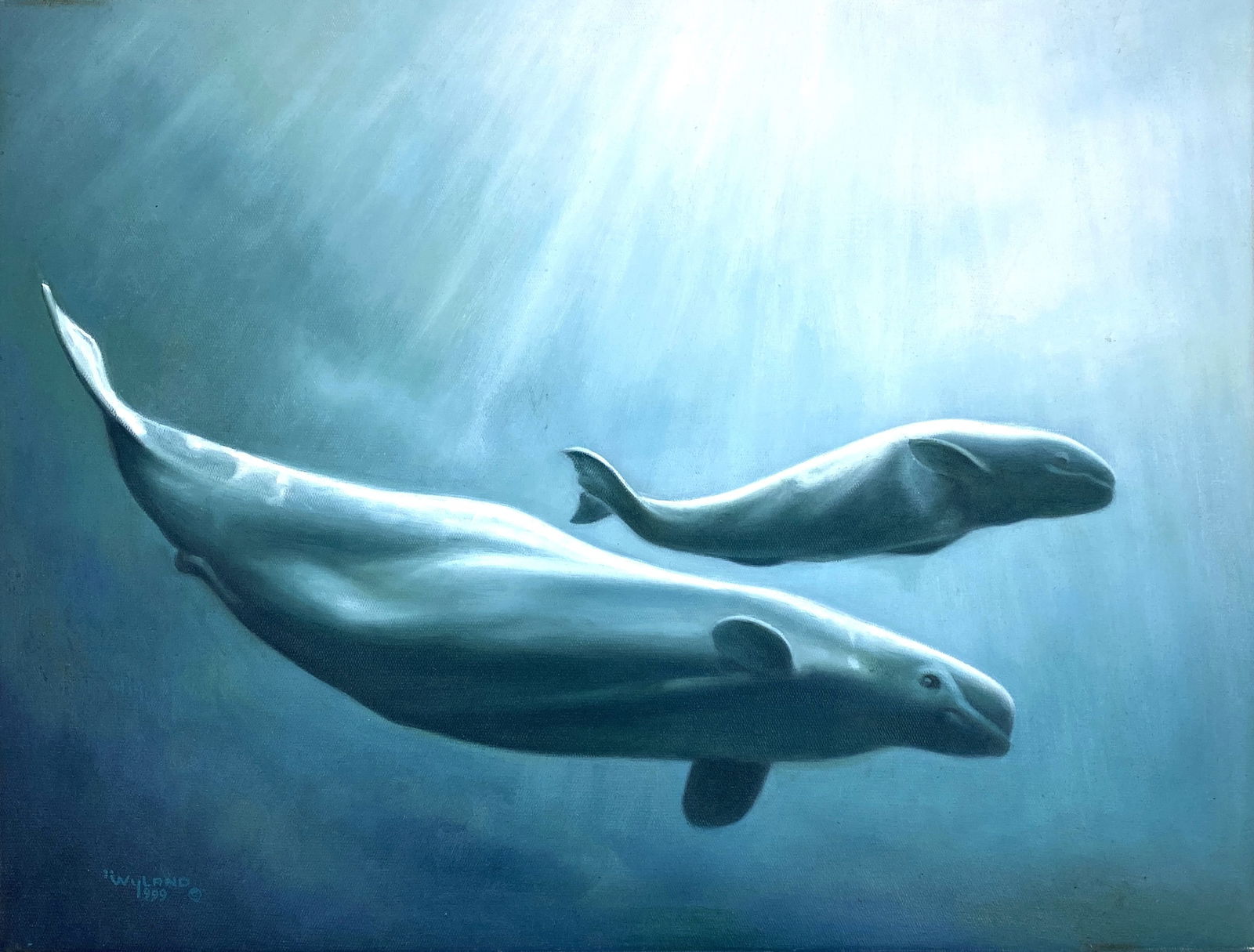 Robert Wyland - Beluga Stroll, 1999 - Original Oil Painting: ROBERT WYLAND (B. 1956) Belgua Stroll, 1999 Original Oil Painting 20 x 26 inches