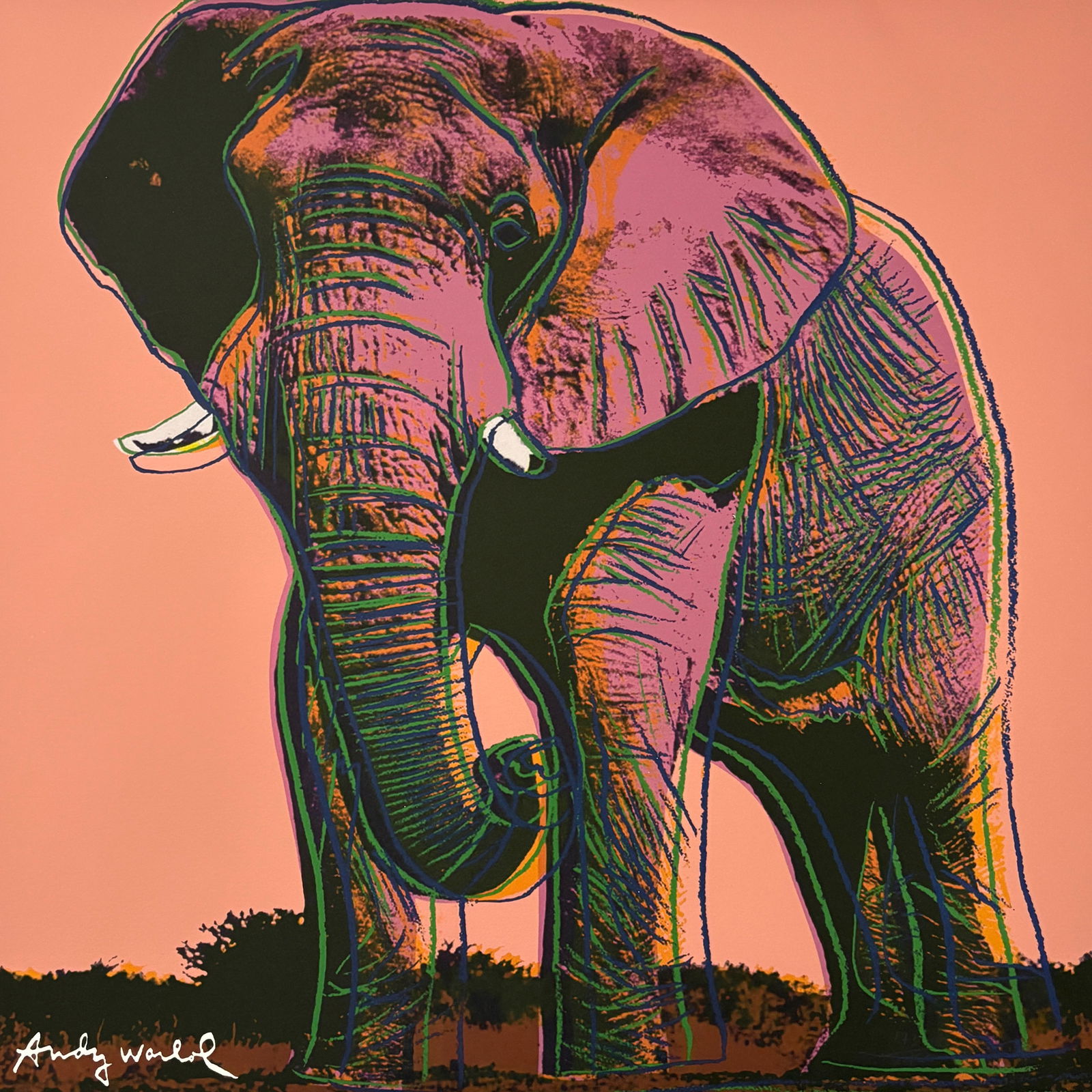 Andy Warhol - African Elephant, 1983 (1 of 12)