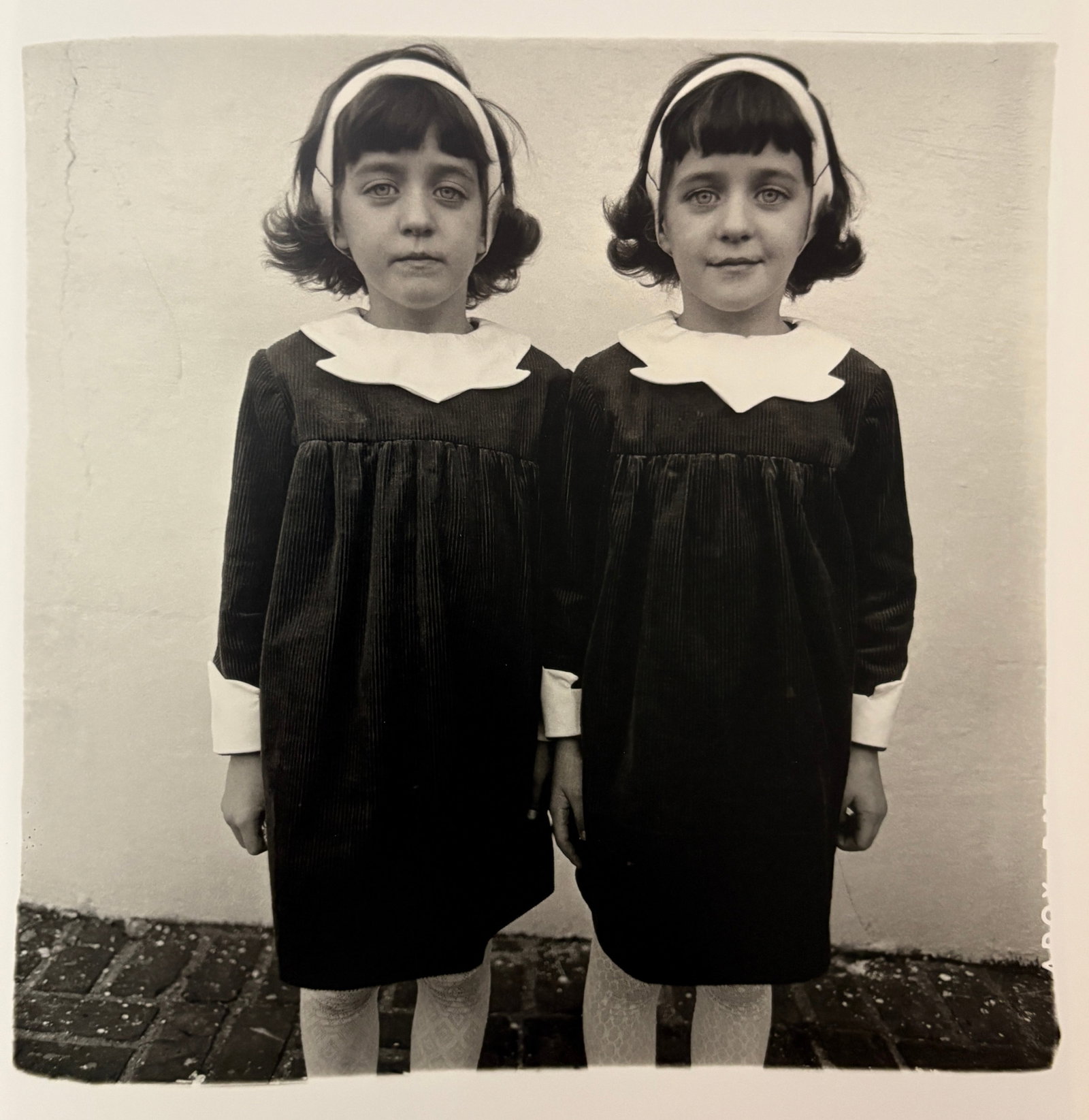 Diane Arbus - Identical Twins, Roselle, N.J., 1967: DIANE ARBUS (1923–1971) Identical Twins, Roselle, New Jersey, 1967 Print 8 inches x 8 inches