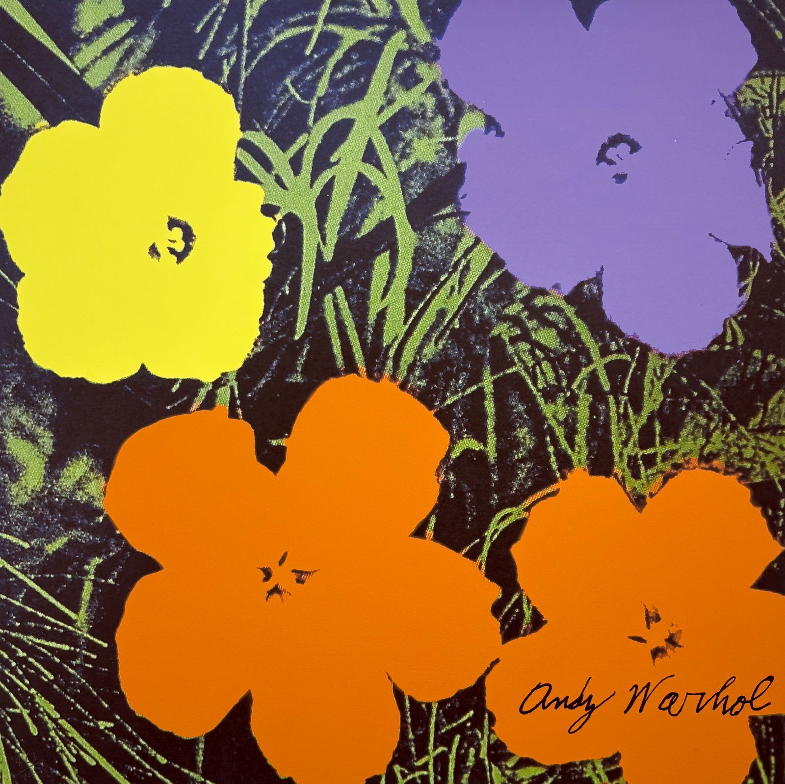 Andy Warhol - Flowers, Lithograph (1 of 11)