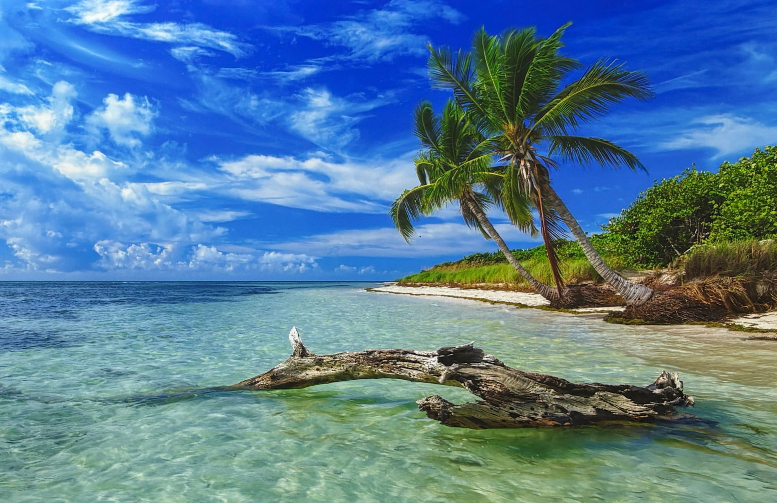 Attrib. Peter Lik - Portfolio of Original Photographs (1 of 20)