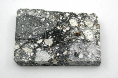 RARE NWA 5000 Lunar Meteorite Slice – Impact Breccia from the Moon: NWA 5000 Lunar Meteorite Slice – Feldspathic Highland Breccia Discovered in 2007 – Sahara Desert, Northwest Africa This exceptional slice of the famous NWA 5000 lunar meteorite displays classic hi