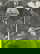 item-209409914=4