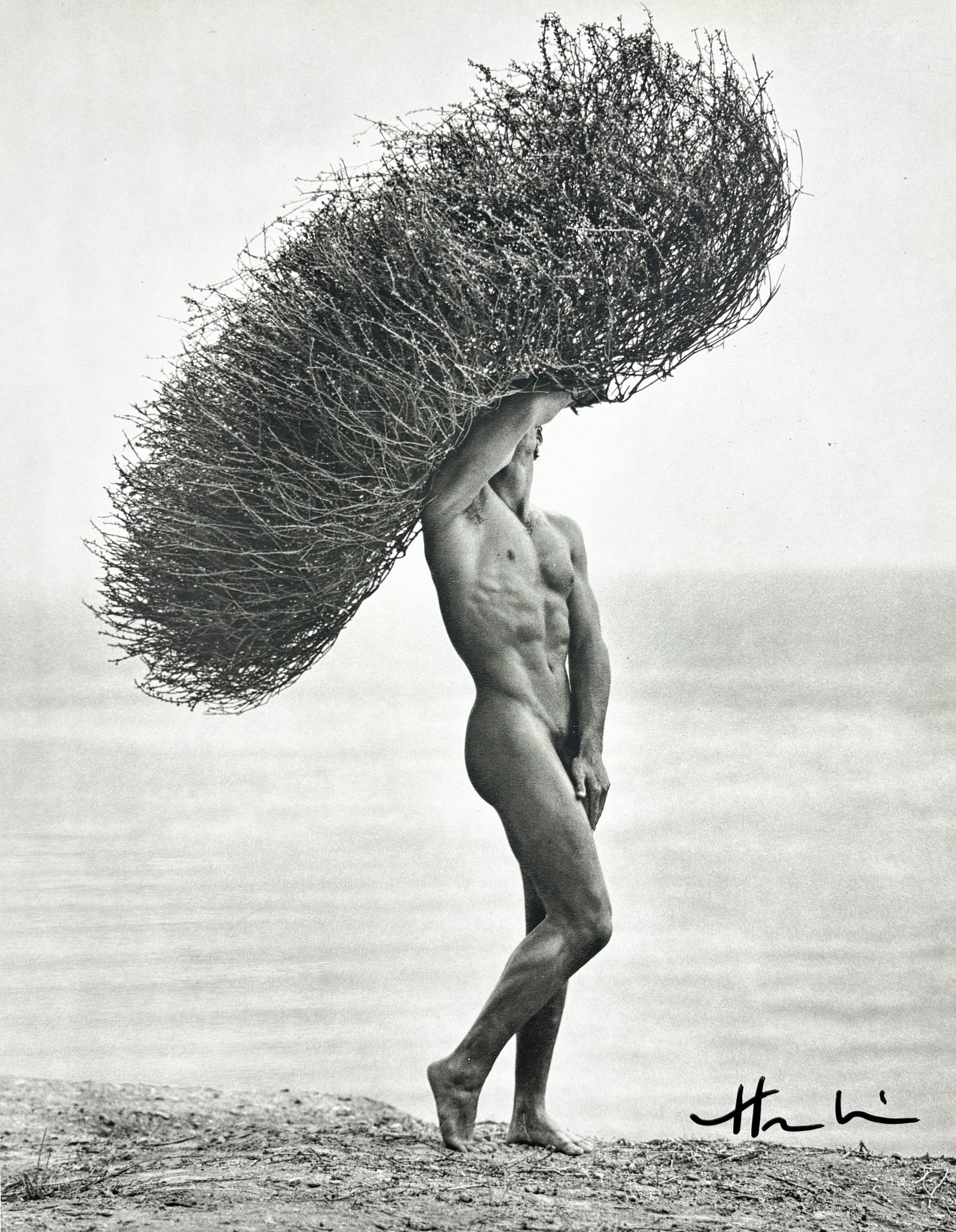 HERB RITTS (1952–2002) – Nude with Tumbleweed, Hand-Signed: HERB RITTS (1952–2002) – Nude with Tumbleweed, Hand-Signed Elegant black-and-white photograph by acclaimed American fashion and portrait photographer Herb Ritts, titled Nude with Tumbleweed. Known