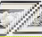 Ansel Adams - Original Silver Gelatin, Hand Signed w/ COA