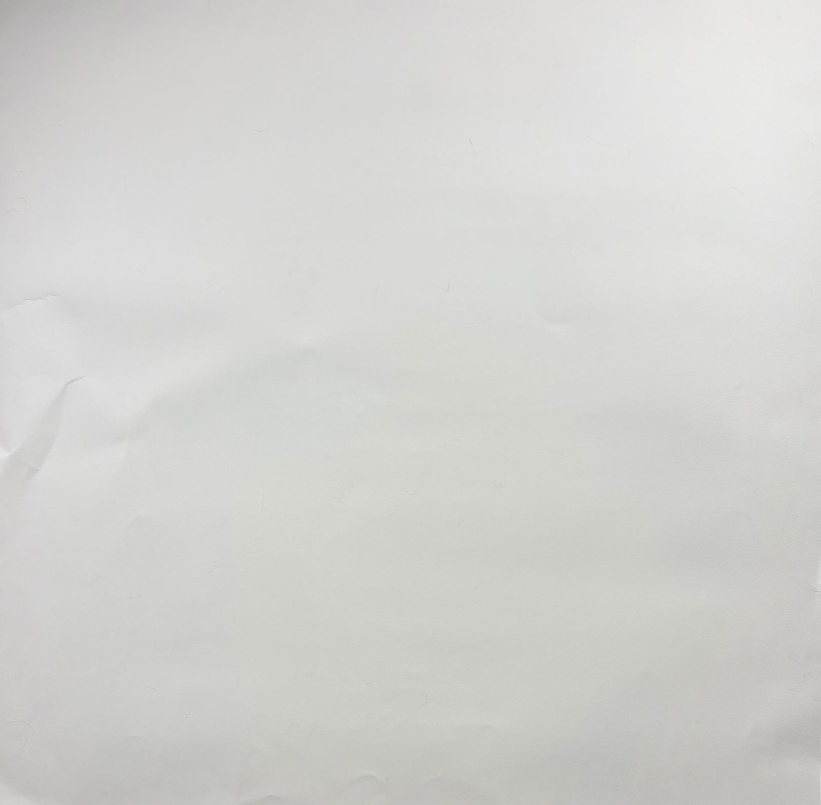 Andy Warhol - Debbie Harry - 7