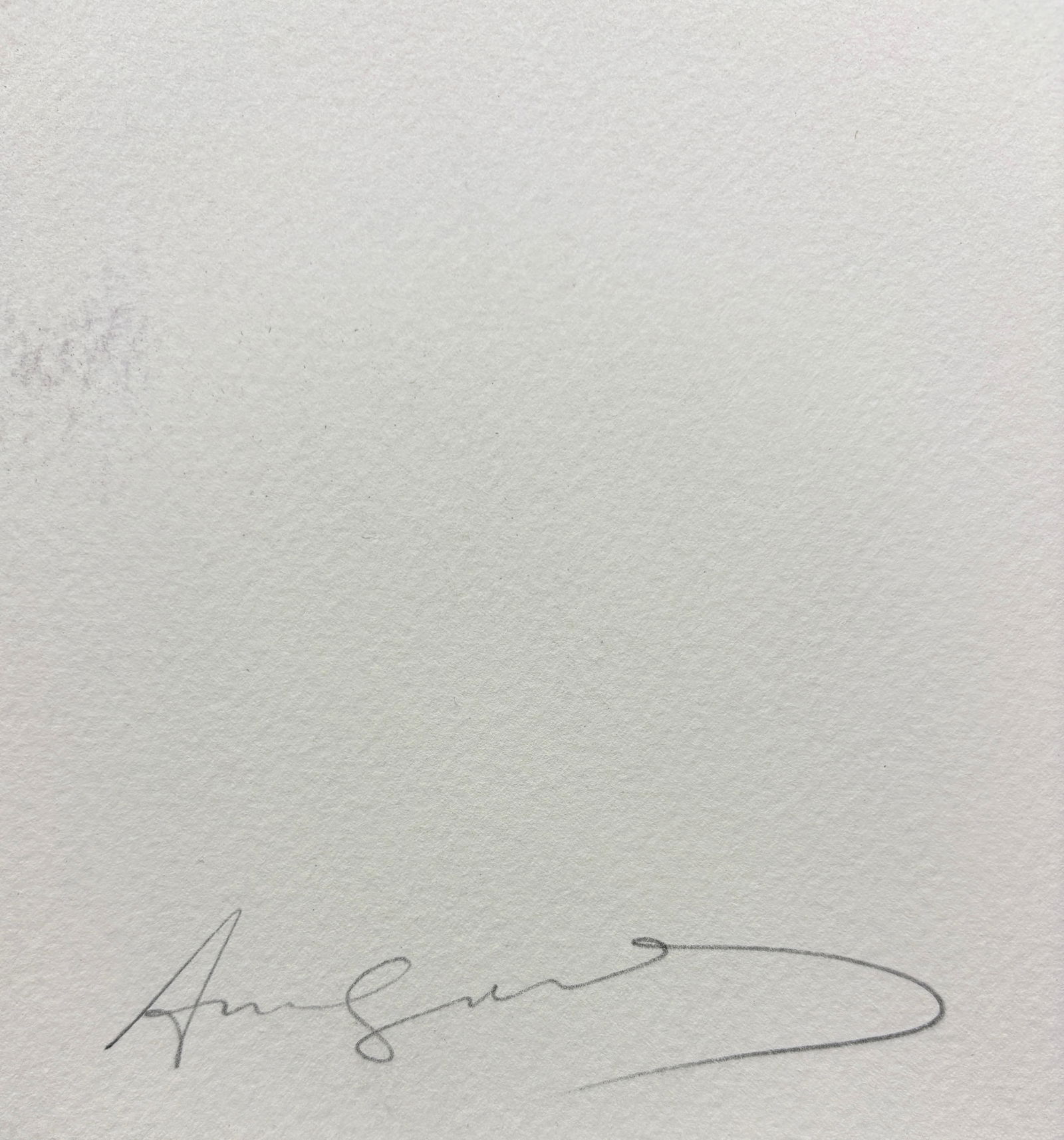 Andy Warhol Silkscreen, Attrib. - 7