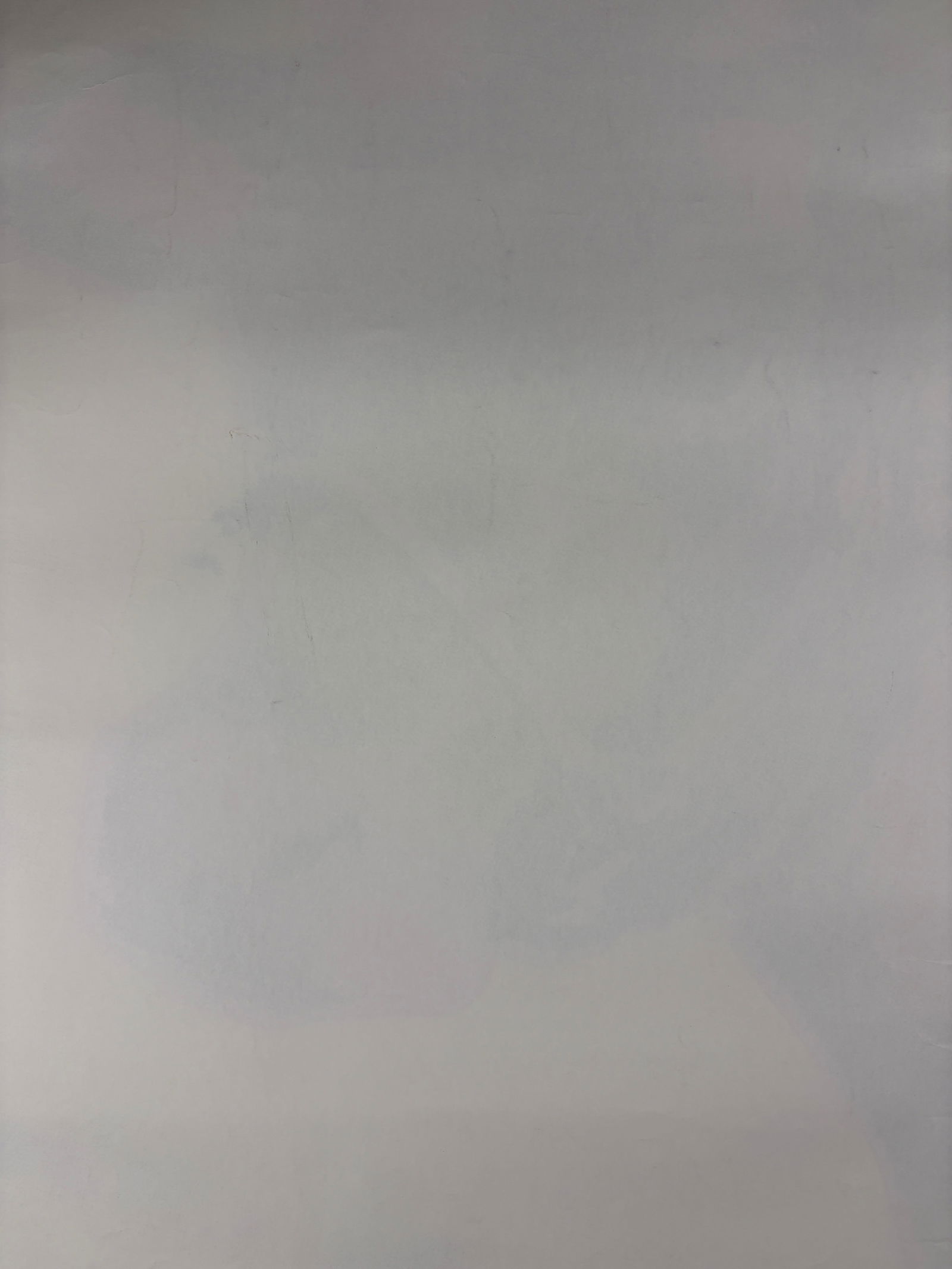 Andy Warhol - Cow Silkscreen Attrib. - 14