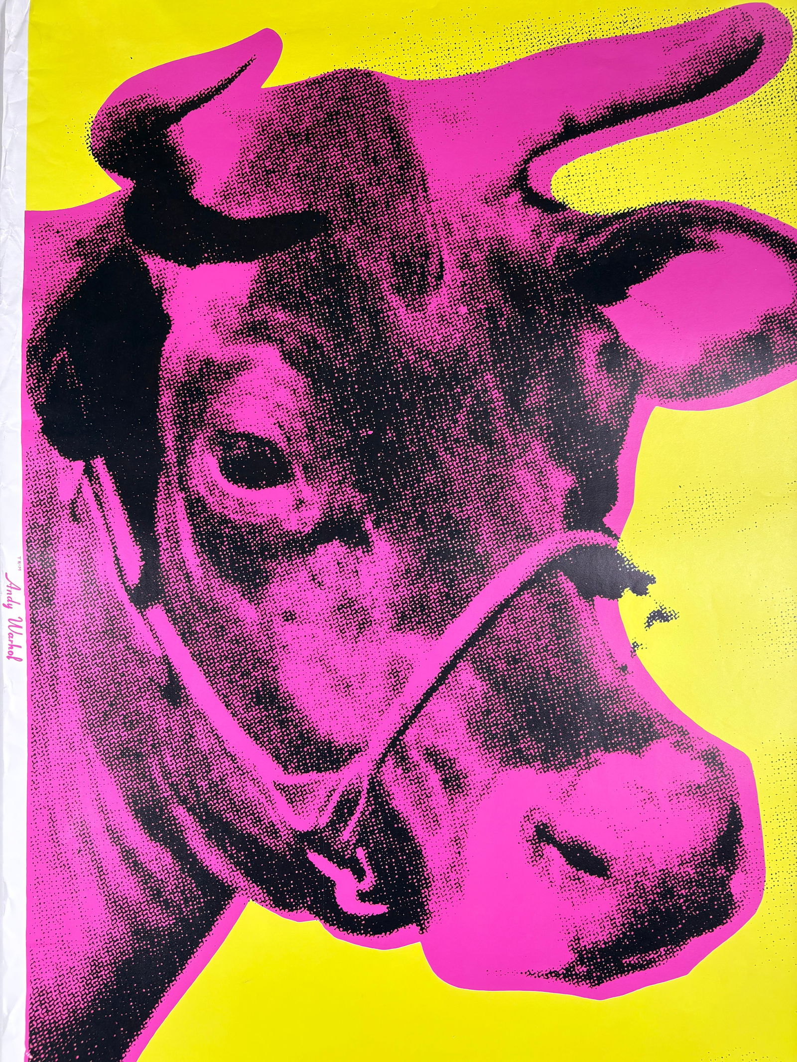 Andy Warhol - Cow Silkscreen Attrib. - 4
