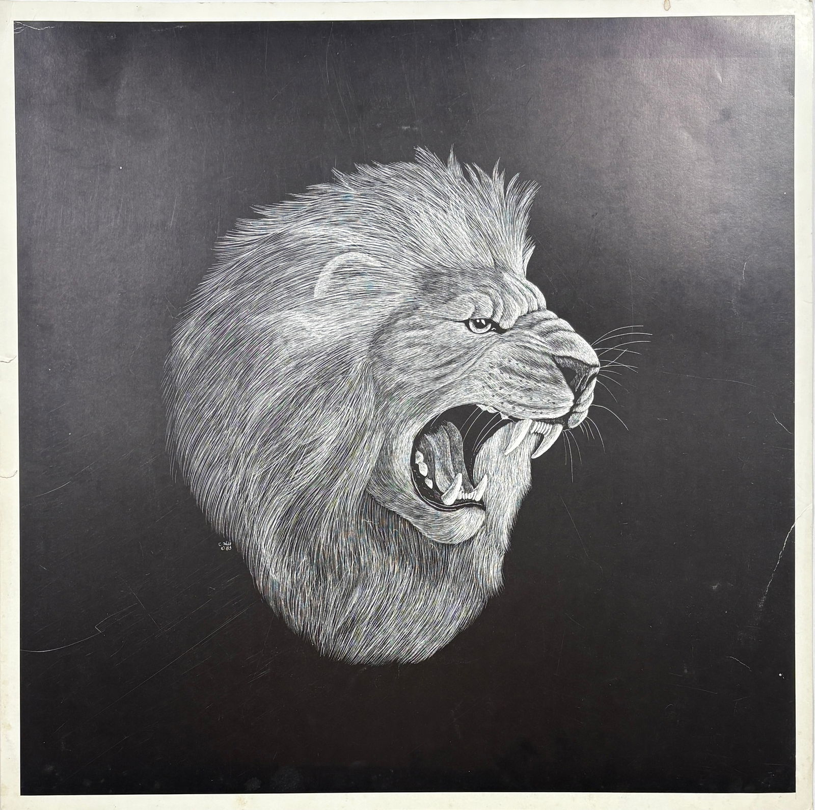 Untitled, Lion Print: Untitled Lion Print 19.75 x 19.75 inches