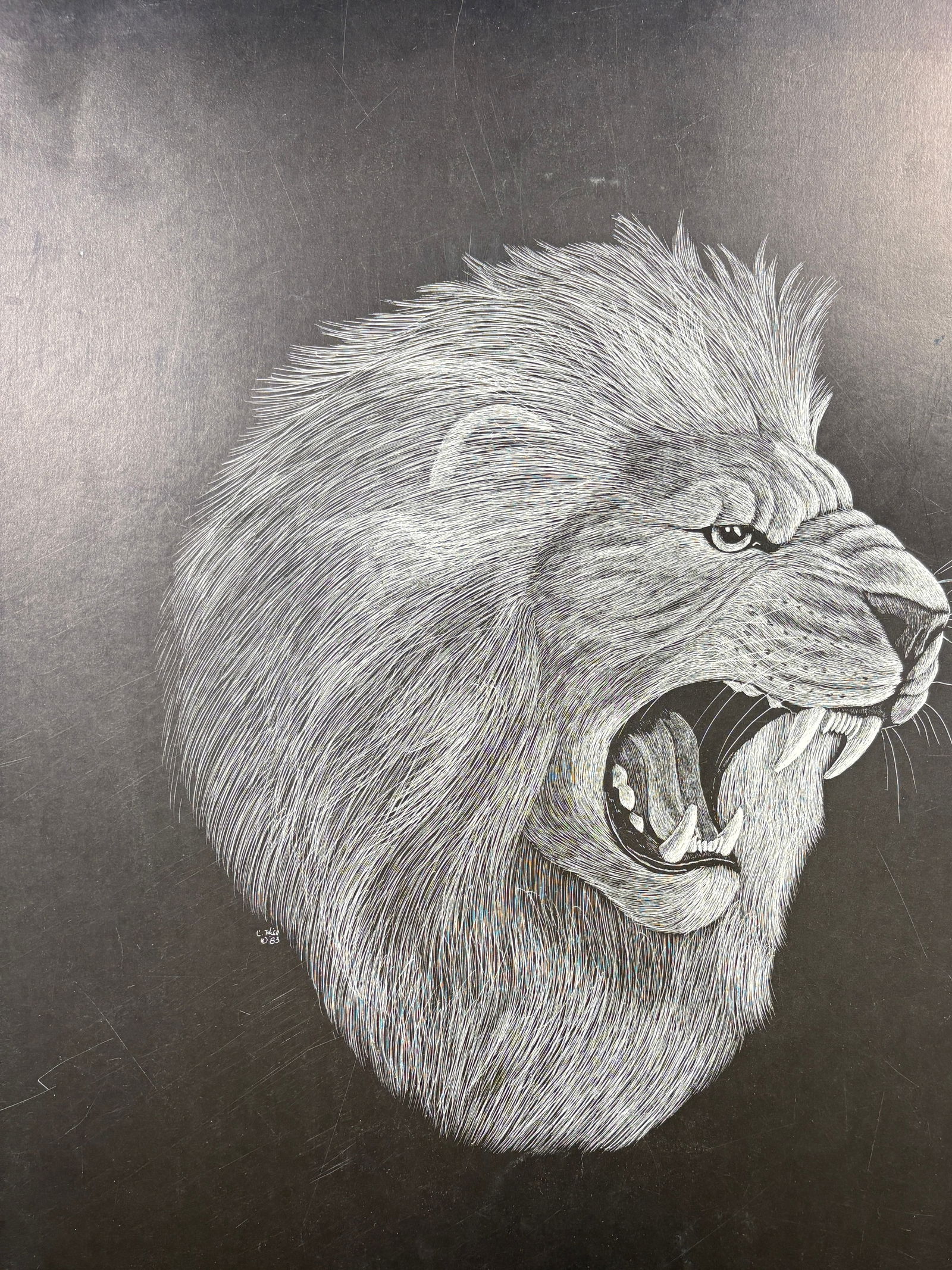 Untitled, Lion Print - 2