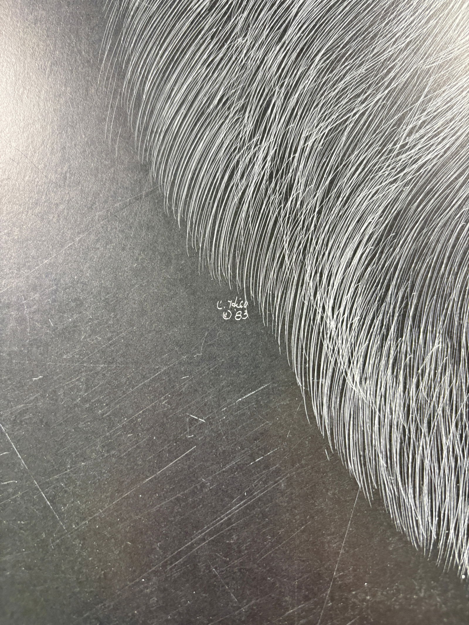 Untitled, Lion Print - 3