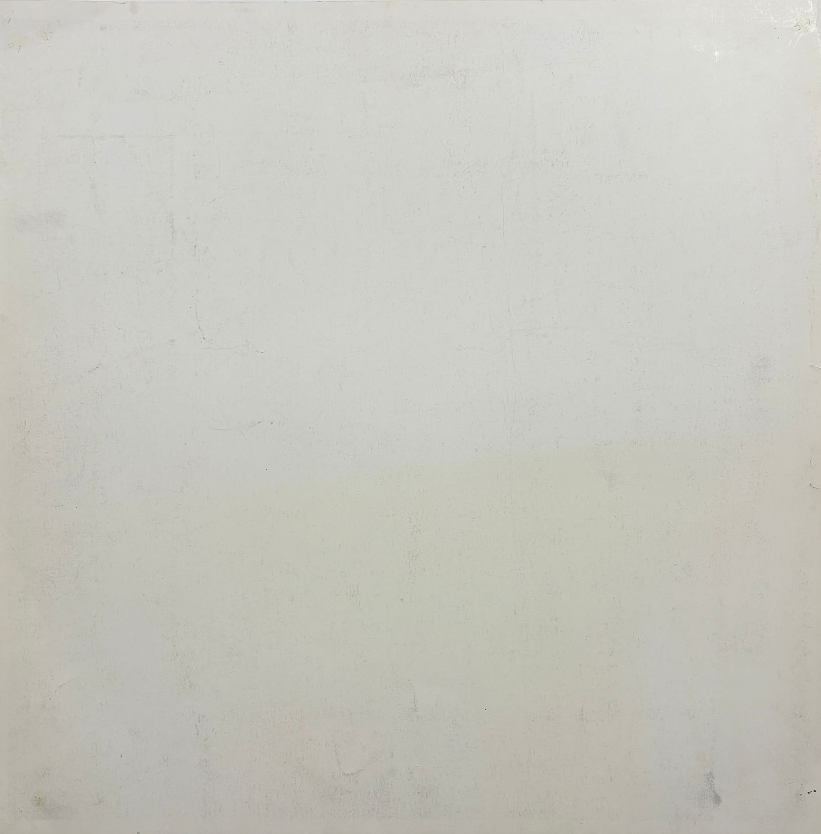 Untitled, Lion Print - 4