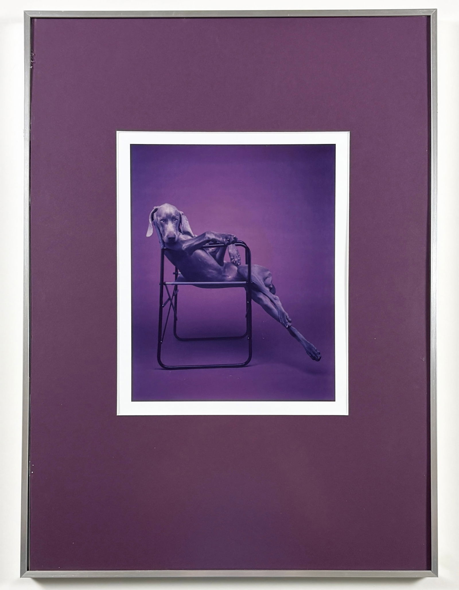 William Wegman: William Wegman Print 21.5 in x 15.75 in