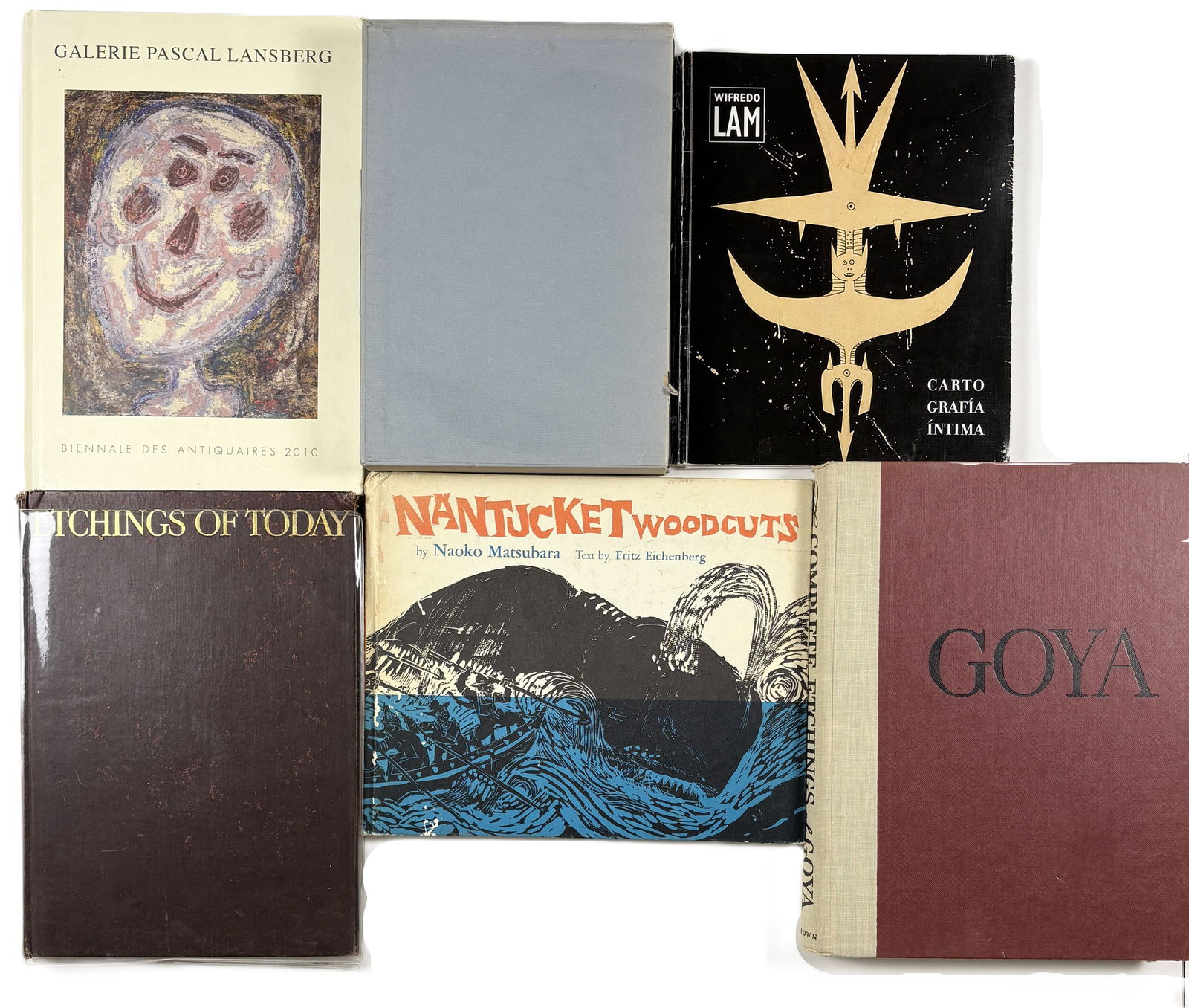 Lot of Art Books Including Francisco Goya, Wifredo Lam, and Naoko Matsubara (1 of 13)