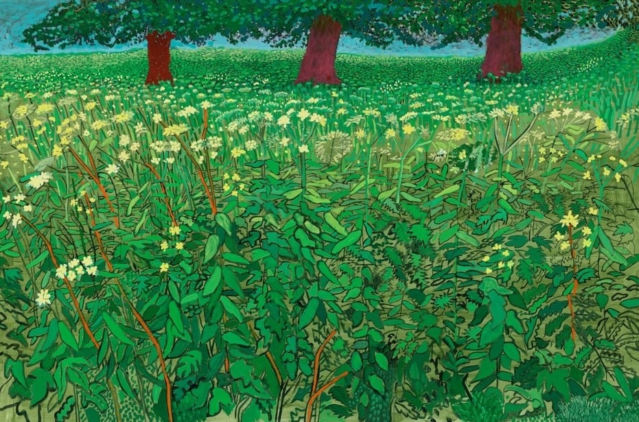 David Hockney – Queen Anne’s Lace Near Kilham, Offset Lithograph (1 of 1)
