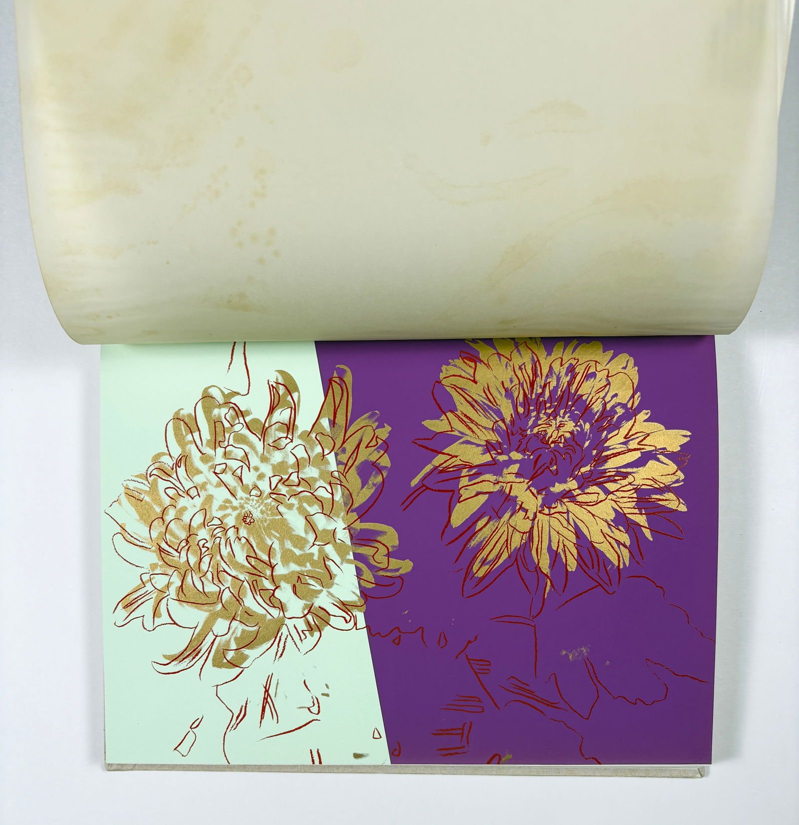 Andy Warhol - Kiku, Silkscreen - 2