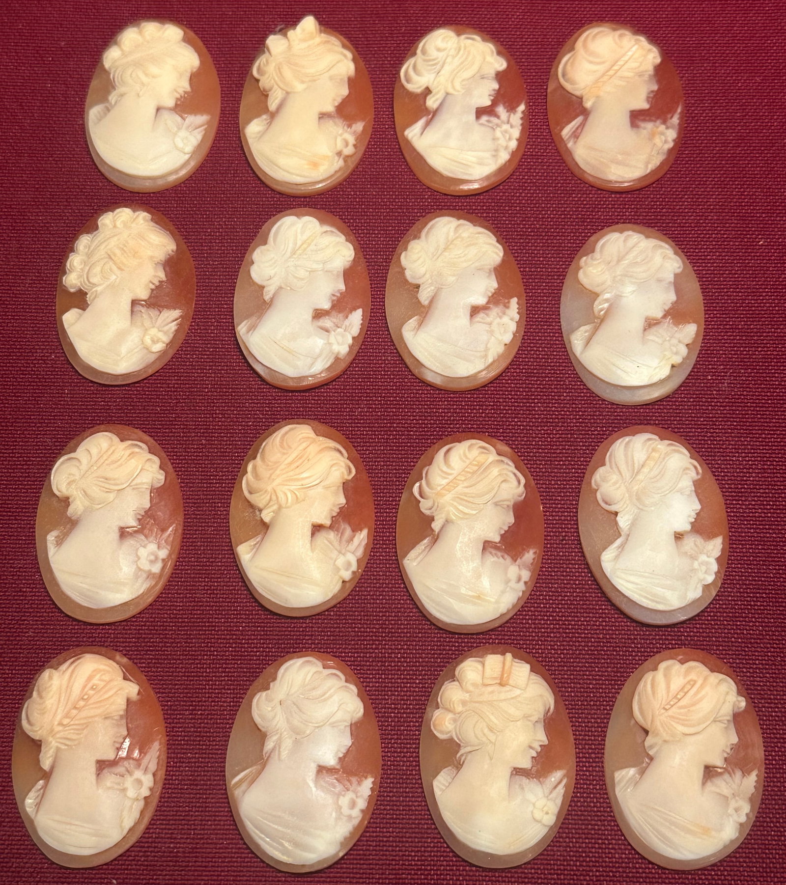 Sixteen Real Shell Cameos - Different Styles: Sixteen Real Shell Cameos - Different Styles