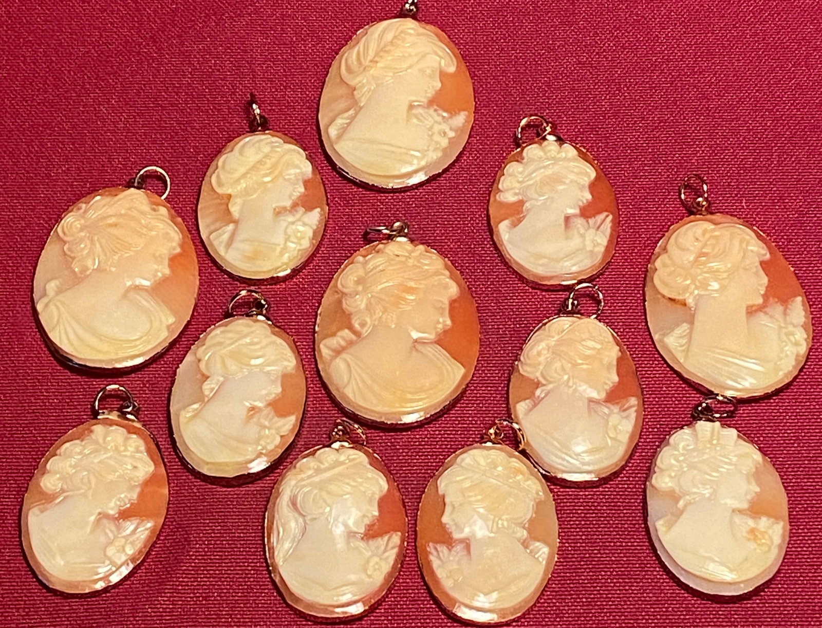 Twelve Real Shell Cameos Pendants: Twelve Real Shell Cameos Pendants