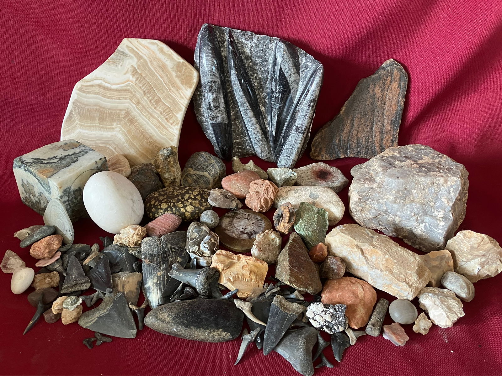 Assorted Fossils, Rocks, Etc. (1 of 6)