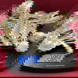 2865 Grams Sterling Silver Flatware and Serveware - Camellia Gorham - Approx 2865 Grams - Knives Wei