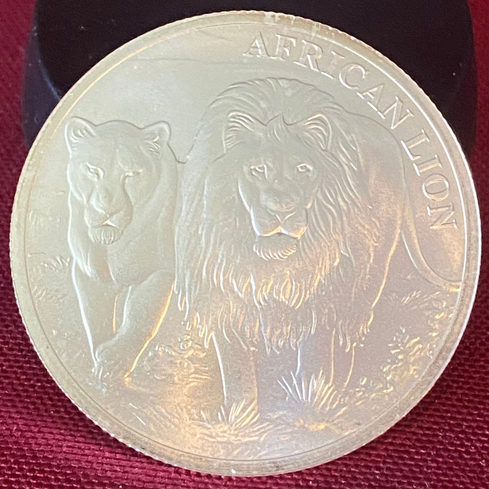 2016 One Ounce .999 Fine Silver African Lion Republic of Congo 5000 Francs (1 of 2)