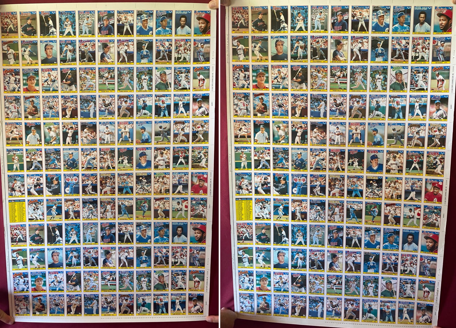 Two Un-Cut Sheet of 1988 TOPPS Baseball Cards (1 of 6)
